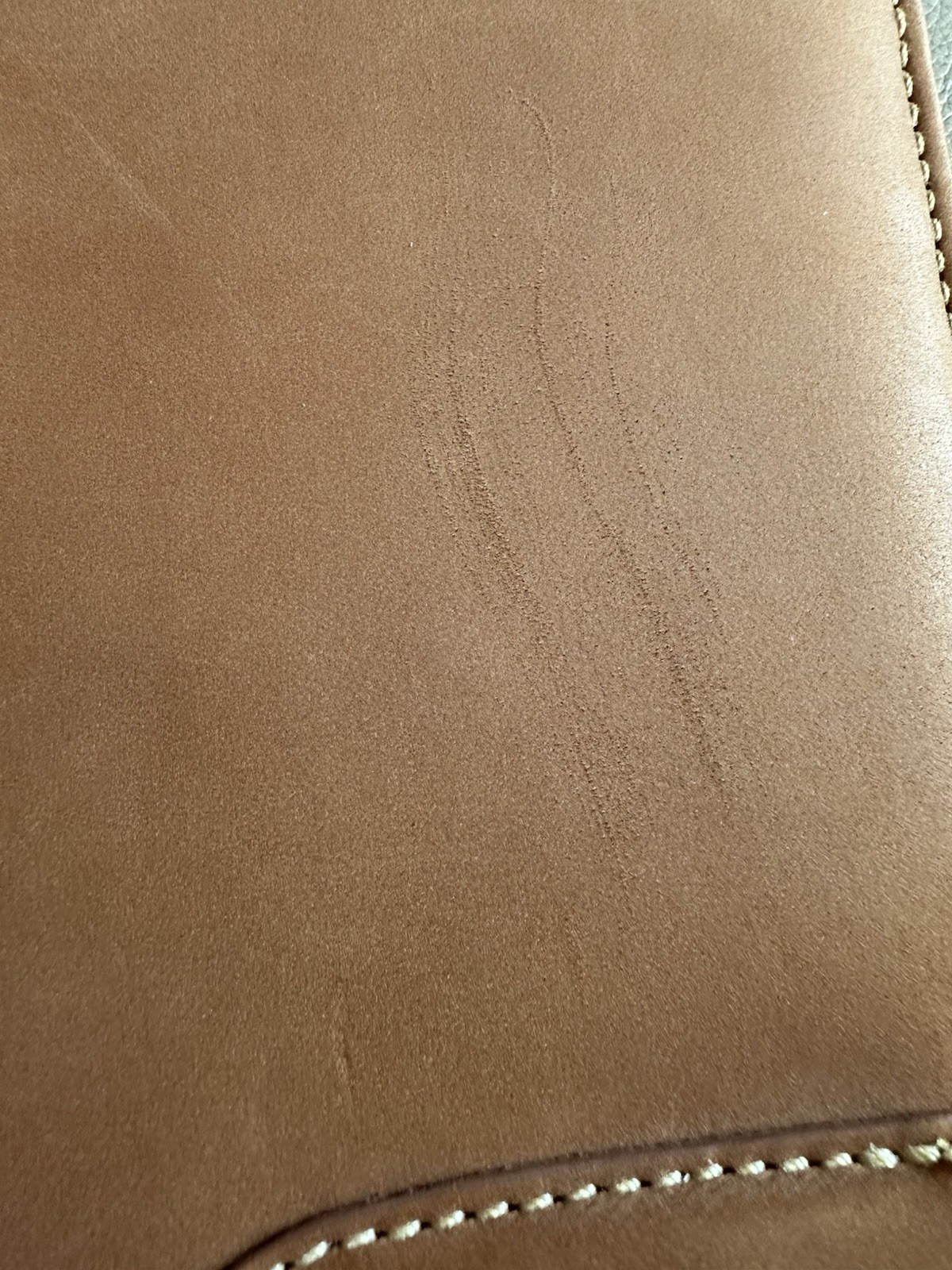 Picture 8 of 8