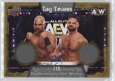 2022 AEW All Elite Wrestling Gold Mat Relics 7/99 Dash Wilder FTR Patch Tag 9e1