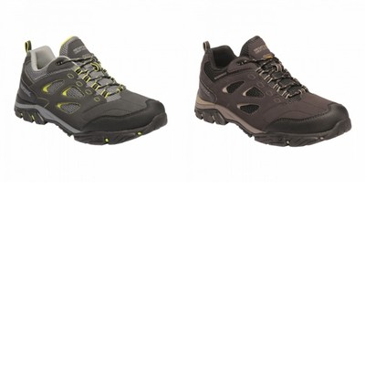 regatta holcombe iep low