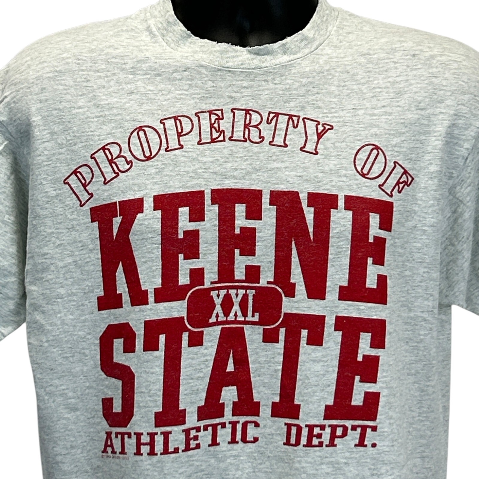 T shirt vintage Keene State College Owls uomo media New Hampshire anni 90 USA grigia