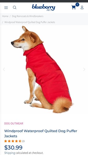 Blueberry Pet Snow Windproof Lined Coat Highest Quality Warm Medium 14 Inch