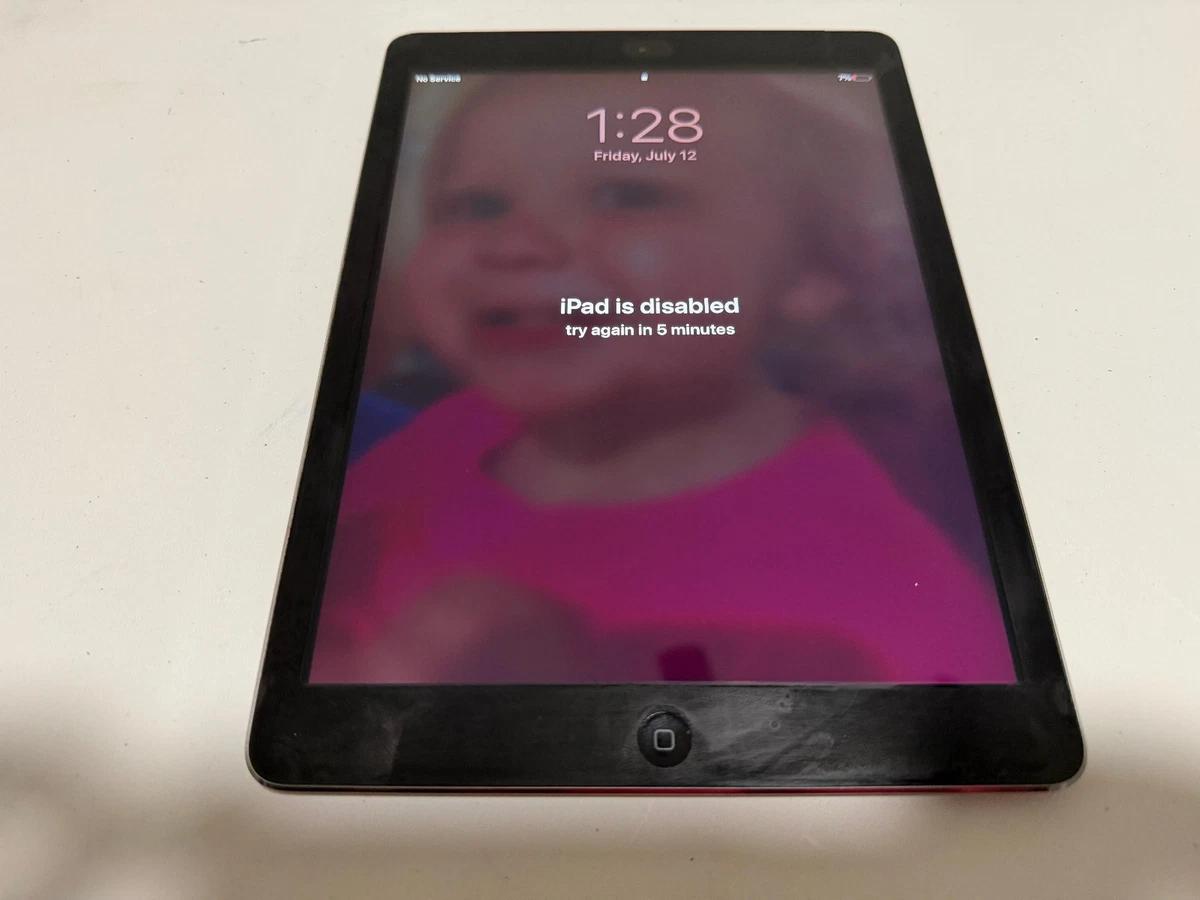 Unlocked 16GB iPad Air 1st Generation for sale | eBay