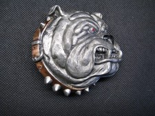 DRAGON DESIGNS BRITISH BULLDOG HEAD METAL BELT BUCKLE WITH SPIKED COLLER