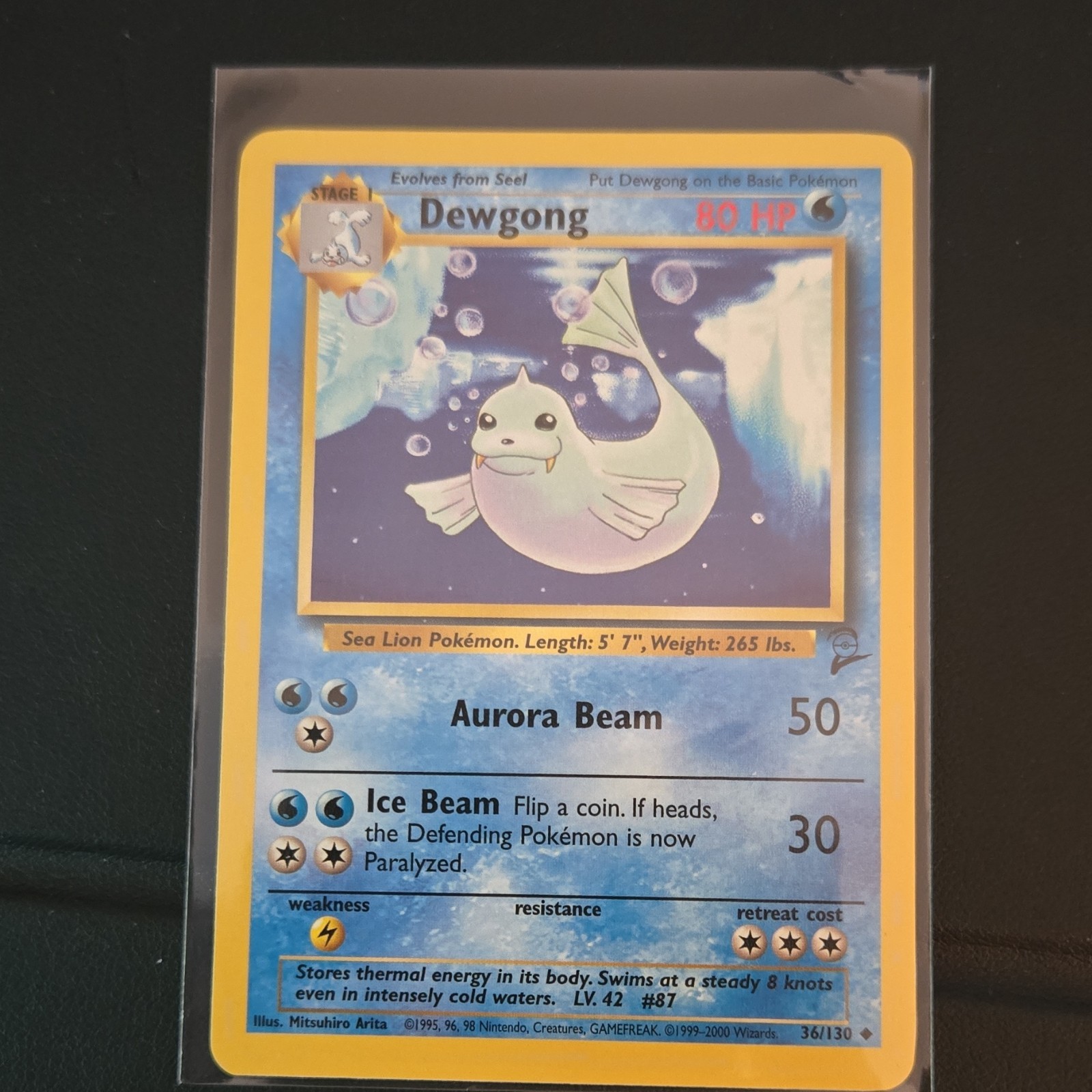 Pokémon TCG Dewgong 36/130 Base Set 2 Stage 1 80HP Uncommon Regular