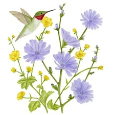 Alice's Cottage Cotton Flour Sack Kitchen Towel Periwinkle Floral & Hummingbird