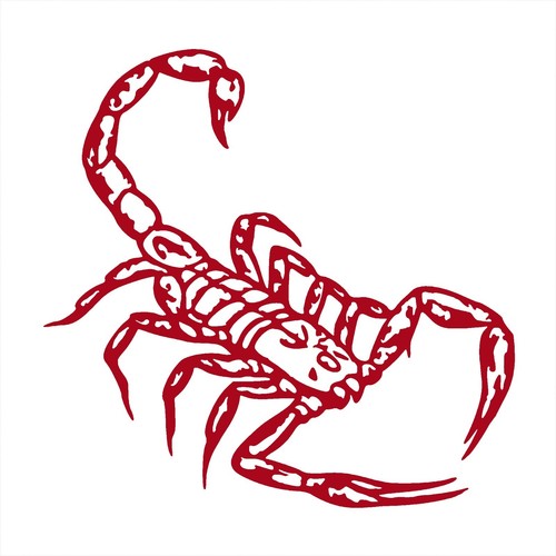 Scorpion Sticker - Zodiac Scorpio Decal - Select Color and Size - Picture 7 of 9