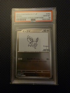 Yu Nagaba Eevee Psa 10 | eBay