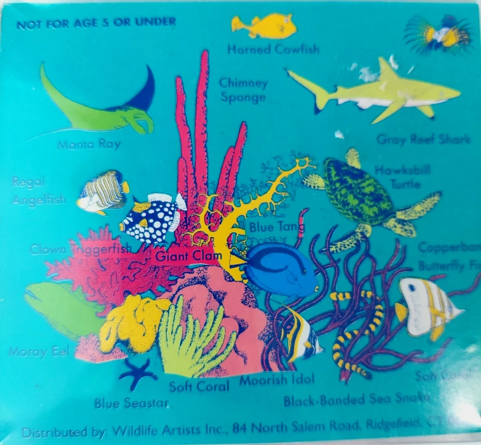 Coral Reef Set, Wildlife Artist Inc., Carry Case, Fun, Educational, Non- Toxic - Image 4 of 4