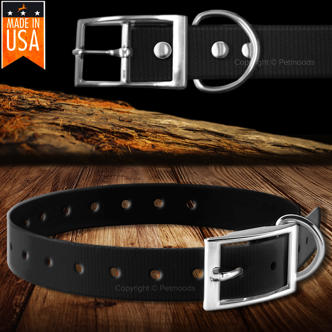 Best sportdog sd 350 Cheap Sale