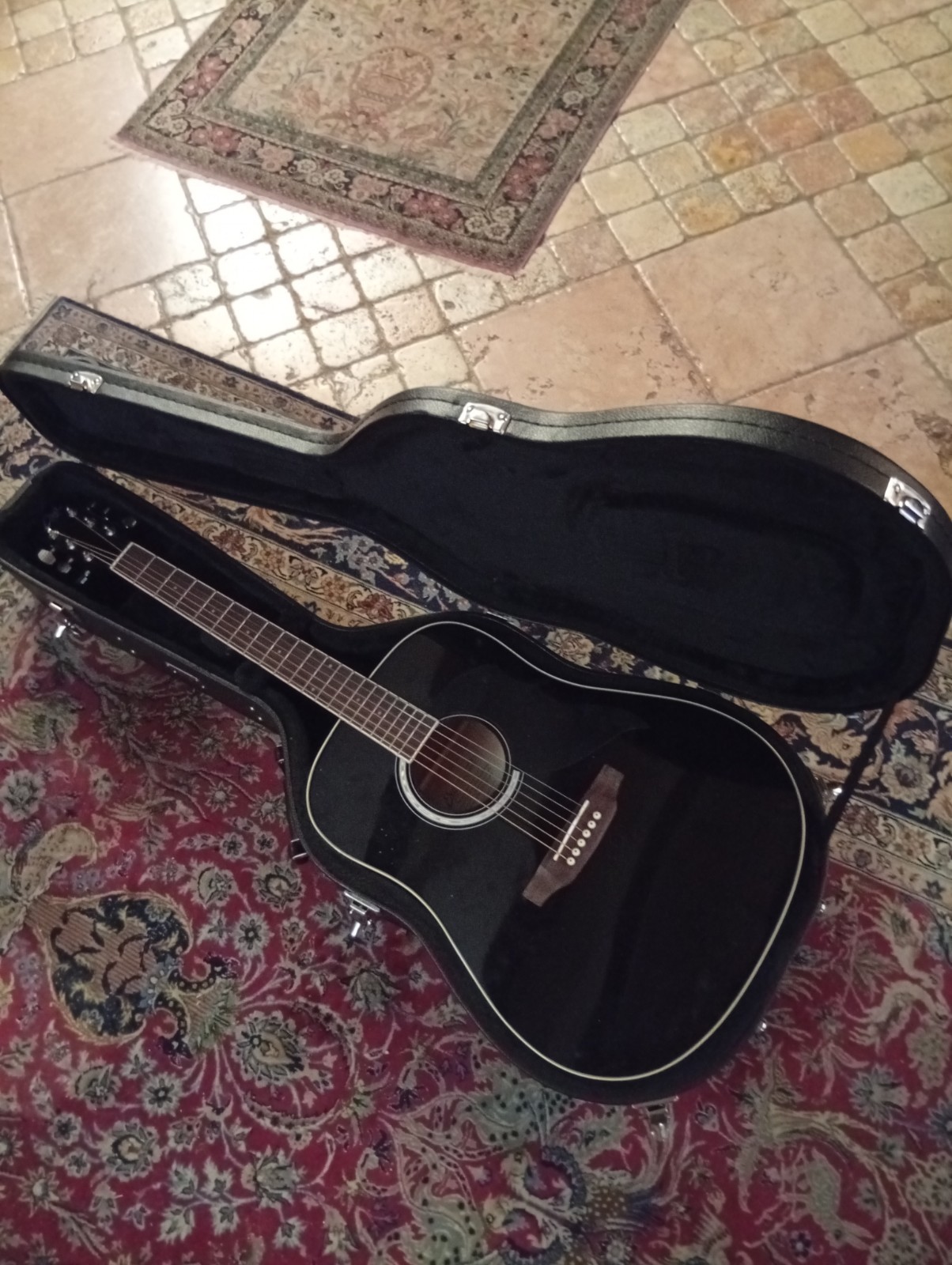 Chitarra Acustica Eko con Custodia Rigida Vevor