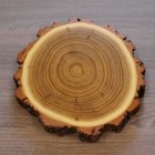 Bild 3 von 8