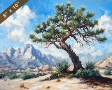 Joshua Tree with desert landscape oil painting 8x10 Print