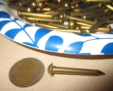 40-VINTAGE 1 1/8" X #10, SOLID BRASS ESCUTCHEON PINS NAILS, BIG ROUND DOME HEADS