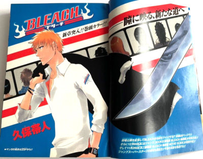Weekly Shonen Jump 2010 No.48 BLEACH Cover Taito Kubo Shueisha