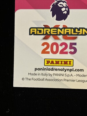 panini adrenalyn xl EPL 2025 Virgil Van Dijk Phenom Card 461 | eBay