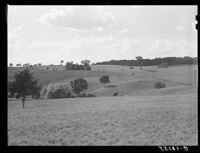 Photo:Oldham County Kentucky Farm Scene 1940 Rural Landscape