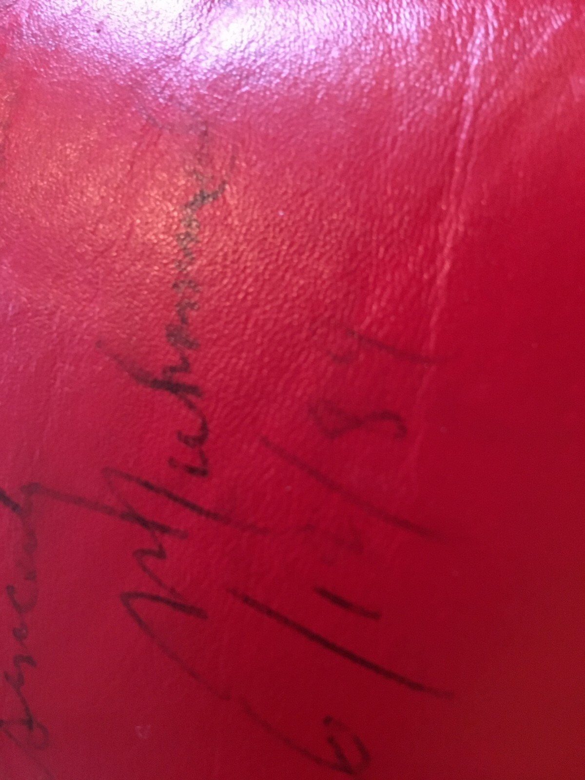 Muhammad Ali signed Boxing Gloves Pair eBay