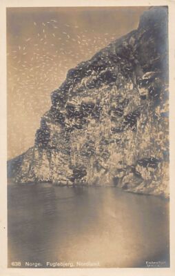 Norway - Fluglebjerg, Nordland - Publ. Mittet & Co. 638