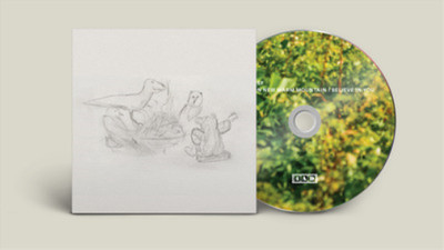Big Thief Dragon New Warm Mountain I Believe in You (CD) Album