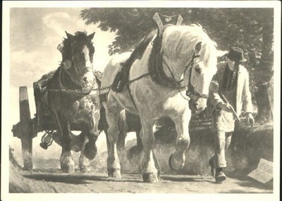 Verlag HDK Nr. HDK 402 J.P. Junghanns  Berg an