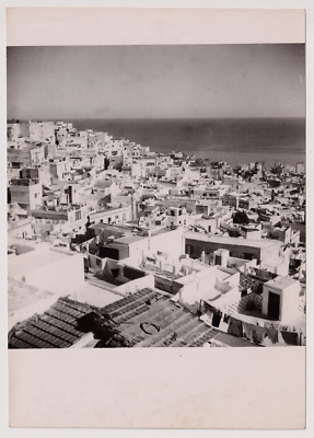 Vue panoramique casbah, Alger de notre époque Vue panoramique casbah, Alger de notre époque