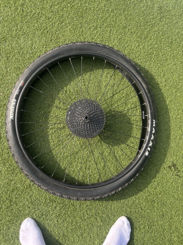 Wtb 29 Inch Boost 148x12 Rear Wheel With Tyer Shimano Microspline 6 Hole