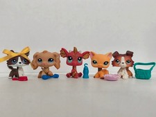 5pcs/lot Littlest Pet Shop LPS Cat Dog Dragon 1676 1716 2484 W/6pcs Accessories