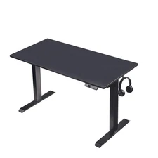 Electric Adjustable Standing Desk with Smooth 24x48 Inch Desktop, Ergonomic