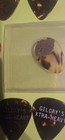 Vintage Guitar Pick Lot ( 40) Fender - Coke On Ice - Van Halen Concert Pick? — photo 10