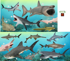 Shark Toy Model Figures by CollectA Choice of 14 for Cakes or Sea Dioramas NEW