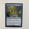 MTG Archmage of Echoes  - Wilds of Eldraine Commander #009 - NM