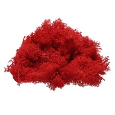 Preserved Reindeer Moss, 4 OZ Fake Moss for Crafts Red