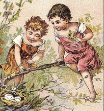 1880s James Pyle's Pearline Washing Powder Adorable Girls & Bird Nest Eggs