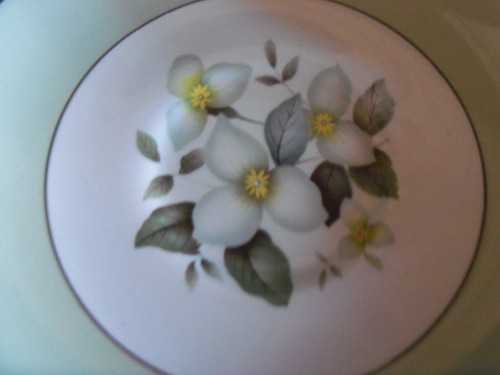 Johnson Brothers Pareek Snow White Cups & Saucers X 2 - Picture 3 of 4