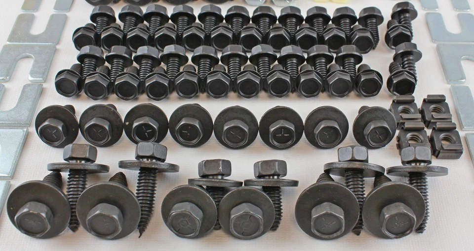 66 67 1966 1967 Pontiac GTO Lemans Tempest guardabarros delantero chapa kit de pernos Foto 4 de 4