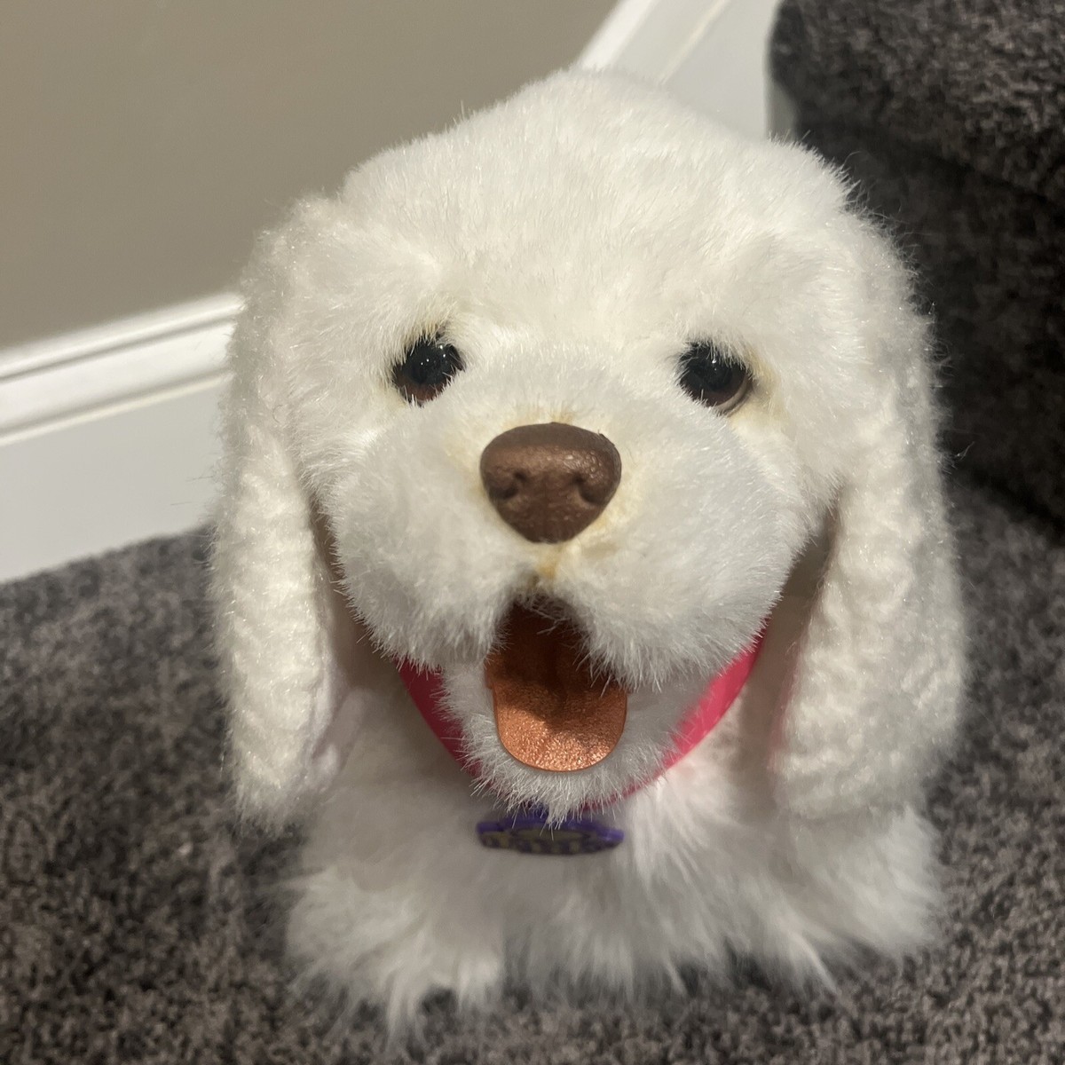 * vintage dog ୨୧ * モコモコ ホワイトの プードルちゃん Ganz Webkinz Fuzzy White Poodle HM014 Dog Retired Plush | eBay