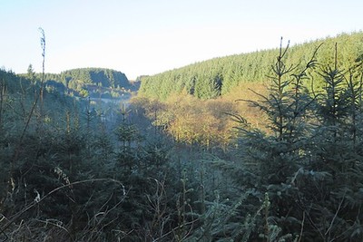 Photo 6x4 Den of Glasslaw Craigmaud In eastern Scotland the word 'de c2017