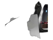 Chrysler 300 2005-2010 Right Door Mirror Used 6623