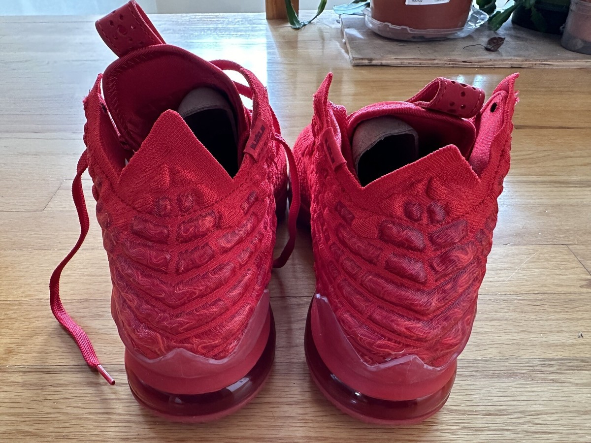 Size 10.5 - Nike LeBron 17 Red Carpet | eBay