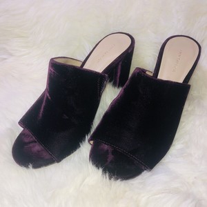 velvet heeled mules