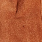 Foto 14 di 22