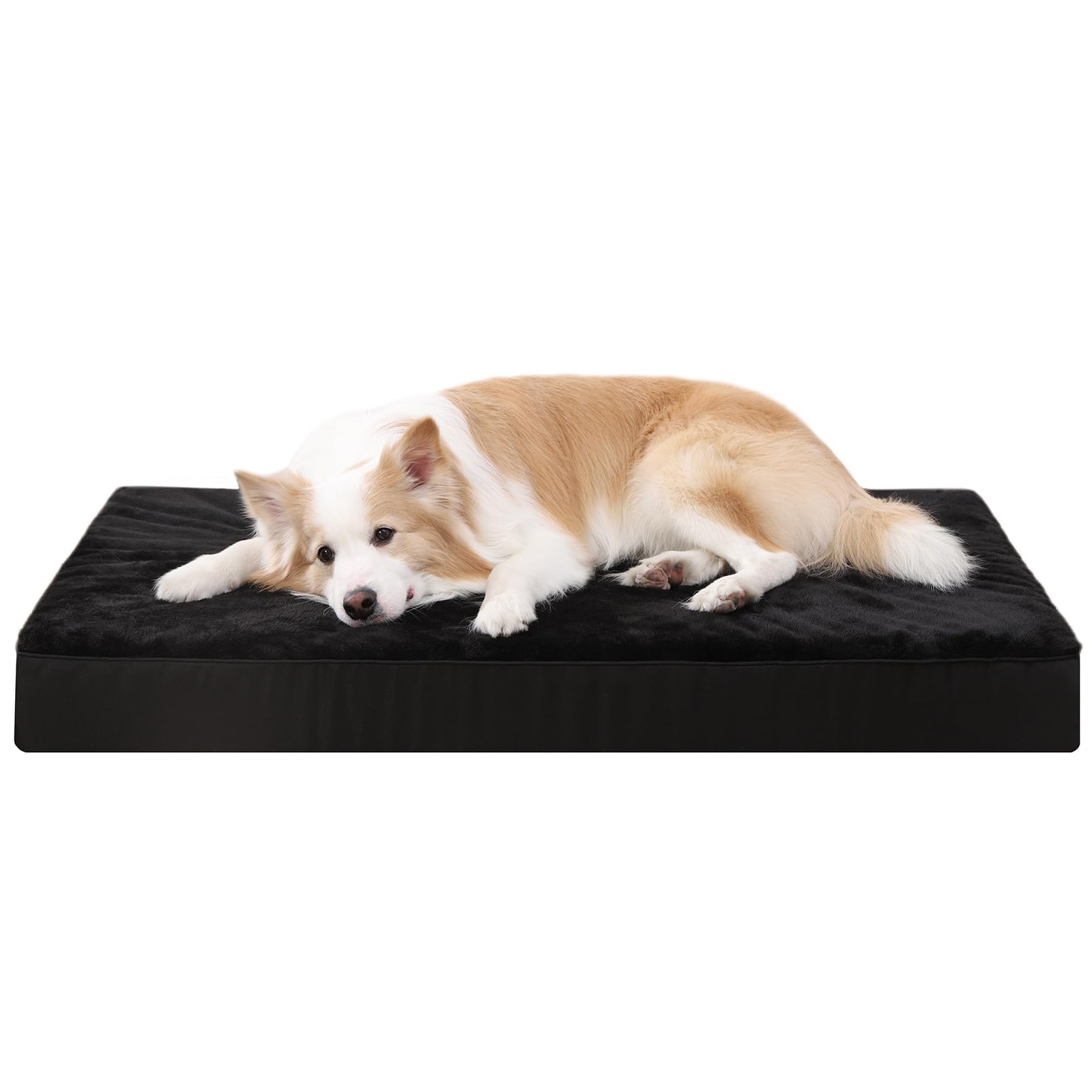 KSIIA Luxury Dog Sofa - Cuccia Ortopedica Sfoderabile Top di Gamma