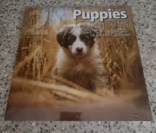 2025 Puppies 16-month, Full Size Wall Calendar. Dog, Baby Puppies. Nature