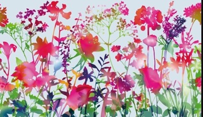 d-c-fix Premium Miraflores Floral statisch haftende Fensterfolie 45cm x 1,5m 334-0035