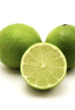 Florida only!! Persian (Tahiti) Lime – Rooted Cutting/Bush, 12-15 inches tall