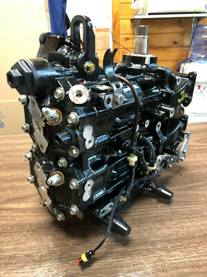 2004 Evinrude E-Tec 40 HP 2 Stroke Outboard Engine Powerhead Freshwater MN