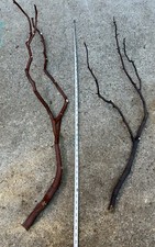 Manzanita Bird Perches Set of 2Multibranch  Sweet Deal : 