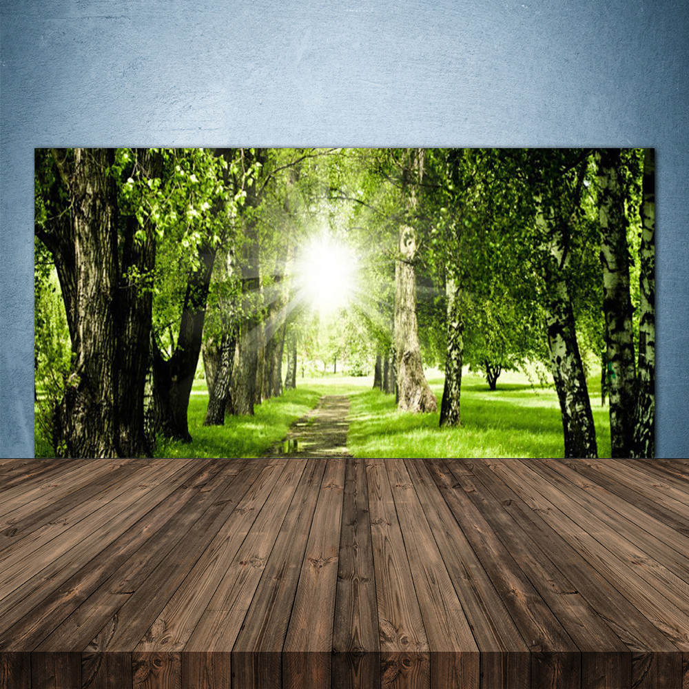 Crédence de cuisine en verre panneau 140x70 nature forêt pour fond de hotte