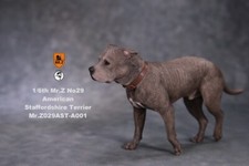 Mr. Z 1/6 American Stafford Terrier modello simulazione animale resina ornamento A001