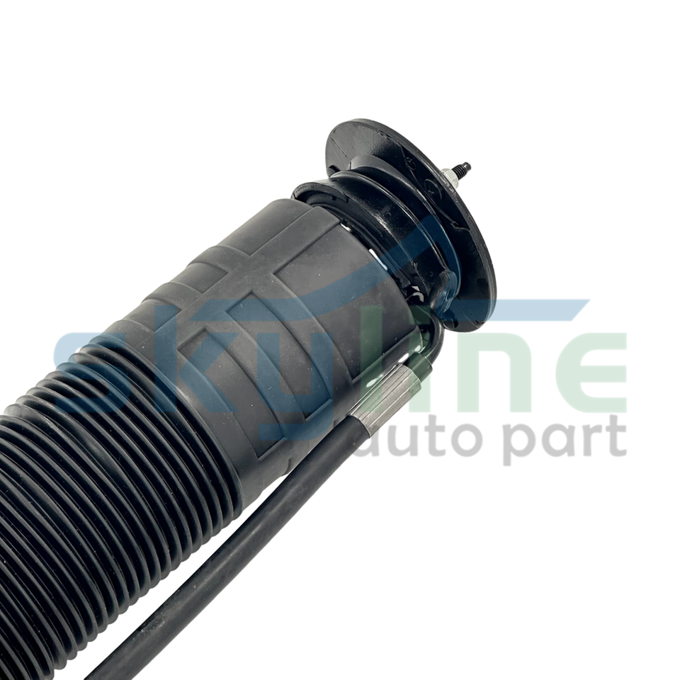 ABC-Tandempumpe Mercedes A0034664401 überholt - W220/C215